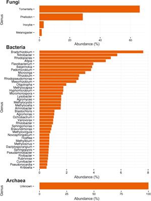 The Ectomycorrhizospheric Habitat of Norway Spruce and Tricholoma vaccinum: Promotion of Plant Growth and Fitness by a Rich Microorganismic Community